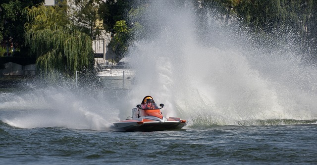 表现赢得了 表现赢得了