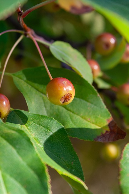 国内联赛上 国内联赛上