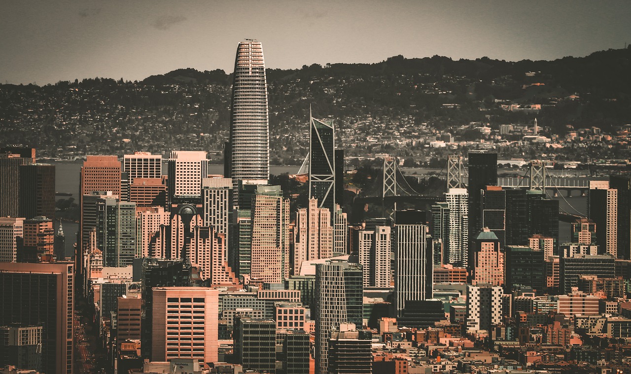 了重要作用 了重要作用