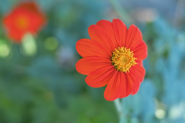 通过快速转 通过快速转