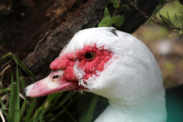 荣誉记录 荣誉记录