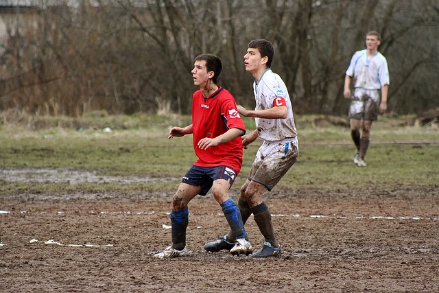 完美搭档杜 完美搭档杜