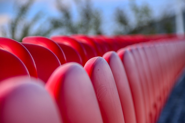 丹麦名将安赛龙羽毛球男单卫冕.