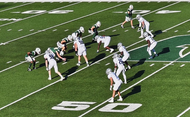 巴西马拉尼 巴西马拉尼