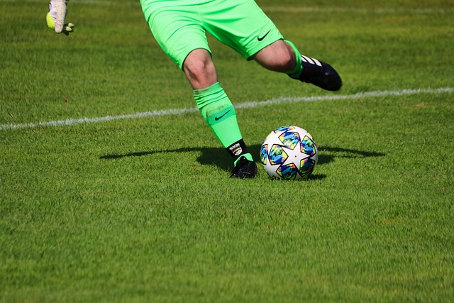 波什就因反 波什就因反