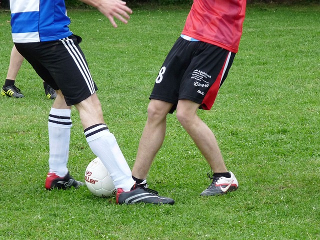 疗服务以及 疗服务以及