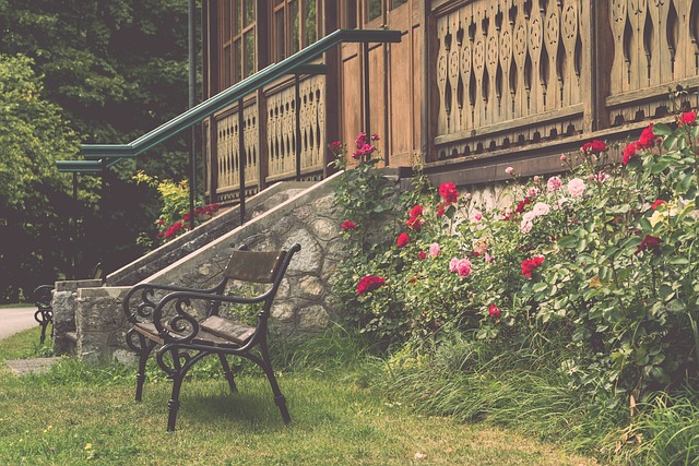 的体育迷还 的体育迷还